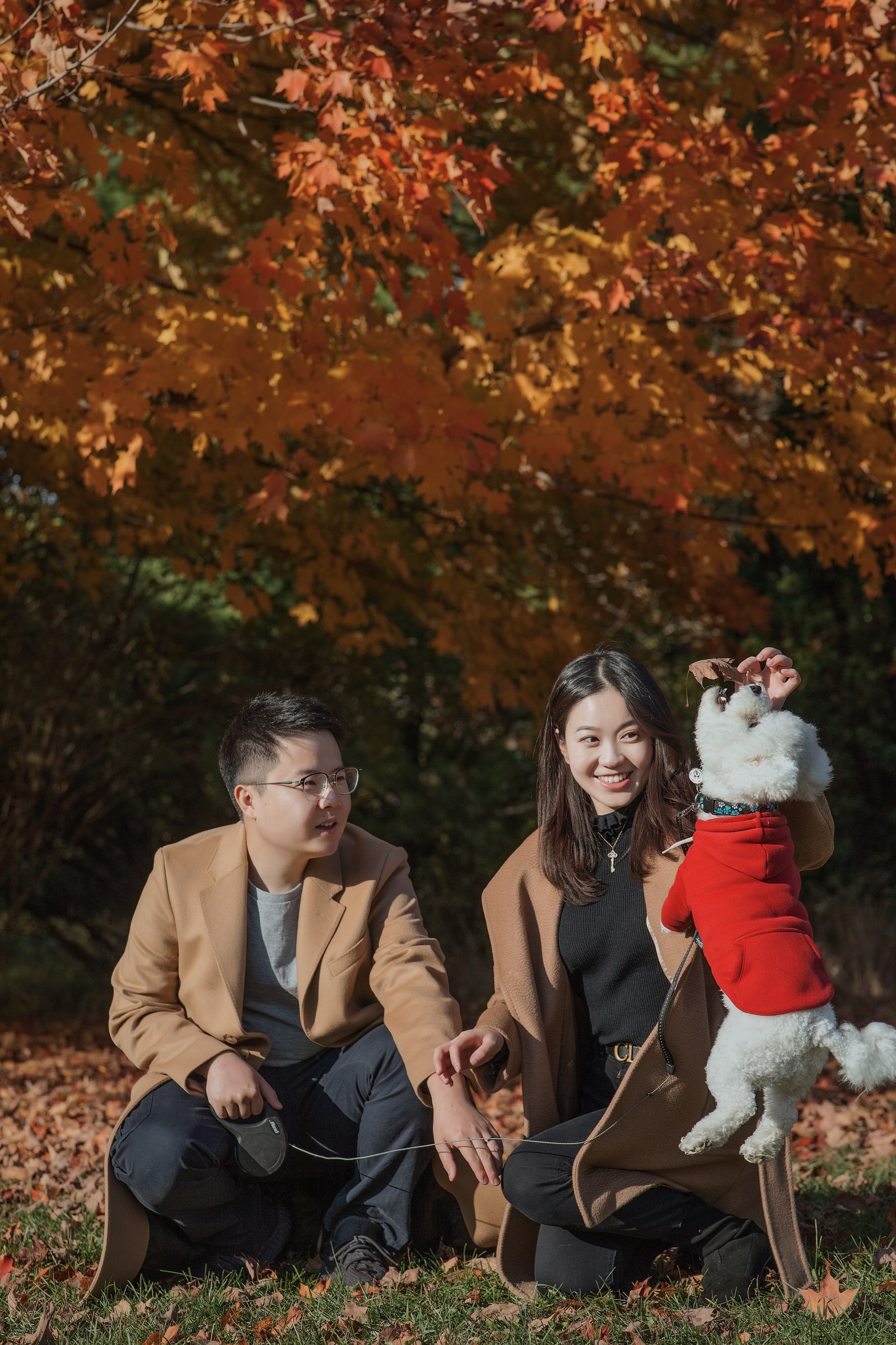 A couple sitting beneath autumn leaves with a small white dog jumping toward a raised leaf